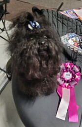 MVP Katowice 09.02.2025